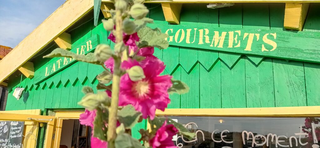 restaurant et dégustion d'huitres à marennes, près de l'ile d'oleron
